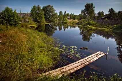 Бабуся і кіт (андрей варшавський)