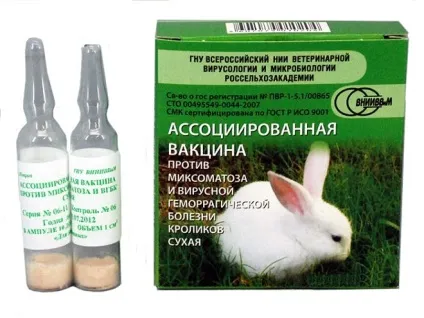 Асоційована вакцина для кроликів від міксоматозу (ВГБК) (ВГБК) Асоційована вакцина для кроликів від міксоматозу (ВГБК)
