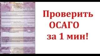 База страхових полісів ОСАЦВ як на прізвище дізнатися всю інформацію про страховку