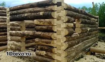 Лазні і вдома під ключ зі зрубу дешево кращі матеріали і варіанти будівництва (ключ) Лазні і вдома під ключ зі зрубу дешево кращі матеріали і варіанти будівництва