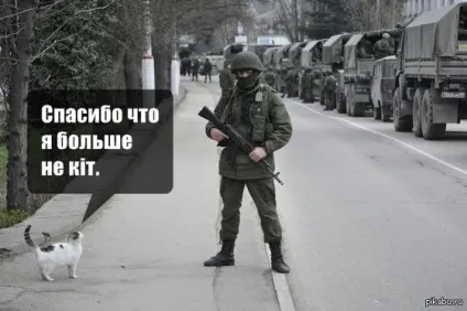 Безсмертний булгаков, мова і коти - сепаратисти - любителі котів - блог (сепаратисти) Безсмертний булгаков, мова і коти - сепаратисти - любителі котів - блог