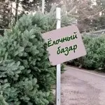 Як навчитися спілкуватися 10 хитрощів, ось так! Сайт для жінок (як навчитися спілкуватися з людьми) Як навчитися спілкуватися 10 хитрощів, ось так! Сайт для жінок