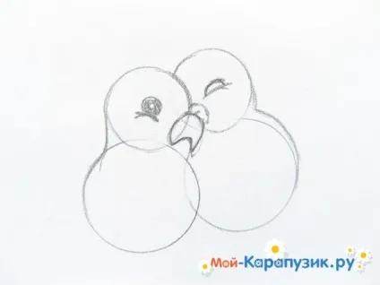 Як намалювати хвилястого папугу кольоровими олівцями поетапно (хвилястого) Як намалювати хвилястого папугу кольоровими олівцями поетапно