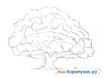 Як намалювати дуб поетапно кольоровими олівцями (кожної гілки листям) Як намалювати дуб поетапно кольоровими олівцями