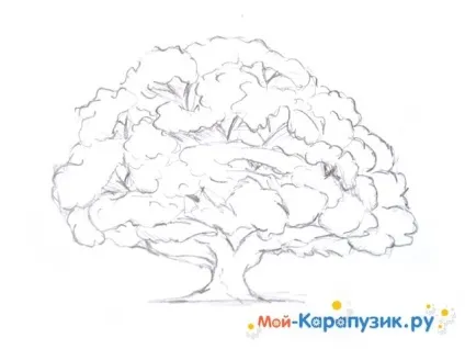 Як намалювати дуб поетапно кольоровими олівцями (поетапно) Як намалювати дуб поетапно кольоровими олівцями