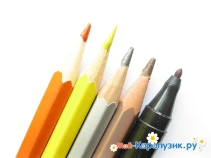 Як намалювати хвилястого папугу кольоровими олівцями поетапно (папуги) Як намалювати хвилястого папугу кольоровими олівцями поетапно