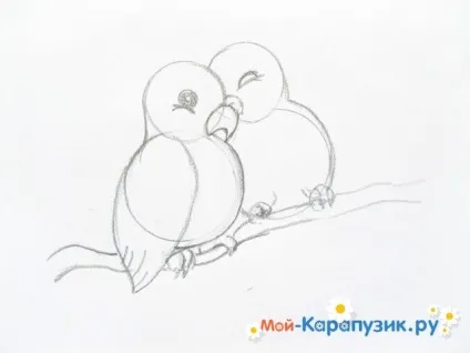 Як намалювати хвилястого папугу кольоровими олівцями поетапно (папуги) Як намалювати хвилястого папугу кольоровими олівцями поетапно