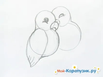 Як намалювати хвилястого папугу кольоровими олівцями поетапно (намалювати) Як намалювати хвилястого папугу кольоровими олівцями поетапно