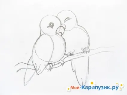 Як намалювати хвилястого папугу кольоровими олівцями поетапно (хвилястого) Як намалювати хвилястого папугу кольоровими олівцями поетапно