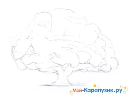 Як намалювати дуб поетапно кольоровими олівцями (кожної гілки листям) Як намалювати дуб поетапно кольоровими олівцями