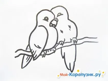 Як намалювати хвилястого папугу кольоровими олівцями поетапно (папуги) Як намалювати хвилястого папугу кольоровими олівцями поетапно