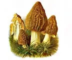 Бізнес-ідея №546