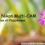 Блог фотографа, настройка режиму фокусування на камерах nikon (режиму) Блог фотографа, настройка режиму фокусування на камерах nikon