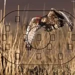 Блог фотографа, настройка режиму фокусування на камерах nikon (фокусування) Блог фотографа, настройка режиму фокусування на камерах nikon