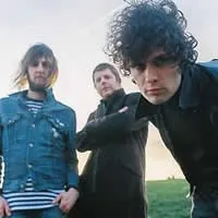 біографія fratellis