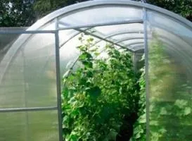 Бізнес в кризу з вкладеннями від 50 000 рублів (бізнес) Бізнес в кризу з вкладеннями від 50 000 рублів