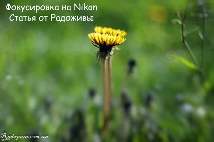 Блог фотографа, настройка режиму фокусування на камерах nikon (настройка) Блог фотографа, настройка режиму фокусування на камерах nikon