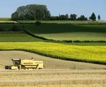 Брат, сват і штрафбат як влаштований бізнес сім'ї Олександра Ткачова, новини (брат) Брат, сват і штрафбат як влаштований бізнес сім'ї Олександра Ткачова, новини
