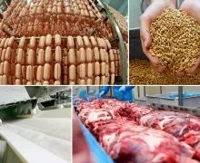 Брат, сват і штрафбат як влаштований бізнес сім'ї Олександра Ткачова, новини (штрафбат) Брат, сват і штрафбат як влаштований бізнес сім'ї Олександра Ткачова, новини