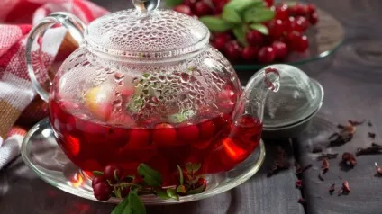 Брусниця садова посадка і догляд, вирощування і фото сортів (вирощування) Брусниця садова посадка і догляд, вирощування і фото сортів