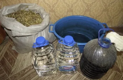 Боротьба з фітофторою на помідорах народні засоби