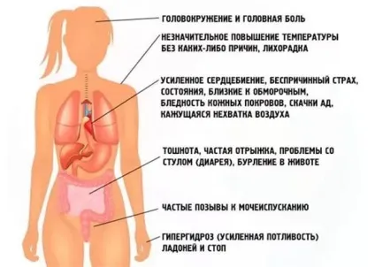 Болі в серці при ВСД симптоми, ознаки, лікування
