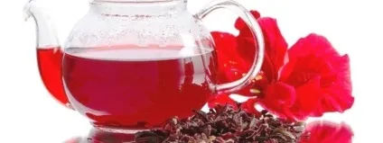 Чай з гибискуса корисні властивості і протипоказання