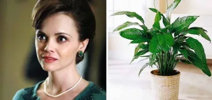Чого бояться зірки (20 фото) (страхи) Чого бояться зірки (20 фото)