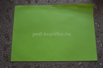Царівна жаба