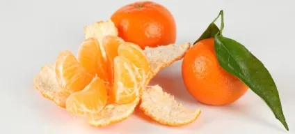 Чим корисні мандарини, їх кісточки і шкірка для організму людини (шкірка) Чим корисні мандарини, їх кісточки і шкірка для організму людини