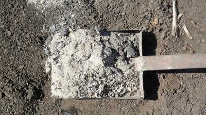 Чим підгодувати картопля щоб краще був урожай