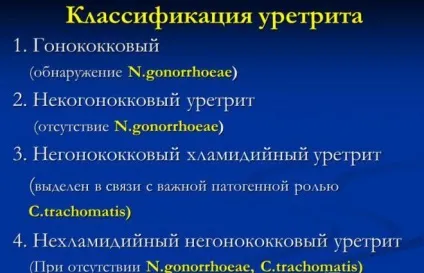 Чим відрізняється мікоплазма хомініс і геніталіум (геніталіум) Чим відрізняється мікоплазма хомініс і геніталіум