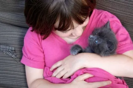 Чим замінити наповнювач для котячого туалету (котячого) Чим замінити наповнювач для котячого туалету