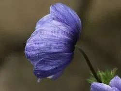 Читання, як хобі