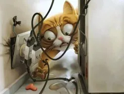 Читання, як хобі