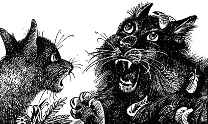 Читати книгу пророцтво синьої зірки (пророцтво) Читати книгу пророцтво синьої зірки