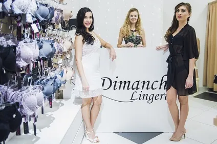 Чесний відгук про франшизу dimanche lingerie (франшизі) Чесний відгук про франшизу dimanche lingerie