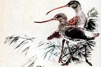 Чий ніс краще Новомосковскть казку онлайн - Бианки Виталий (про тварин) Чий ніс краще Новомосковскть казку онлайн - Бианки Виталий