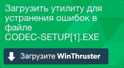 Що таке codec-setup 1