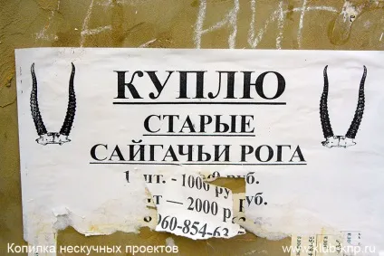 Що подивитися в Астрахані за один день (що подивитися в Астрахані за 1 день) Що подивитися в Астрахані за один день