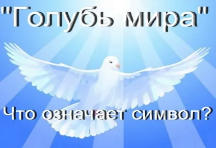 Що означали символи народів світу, пов'язаних з голубом (народів) Що означали символи народів світу, пов'язаних з голубом