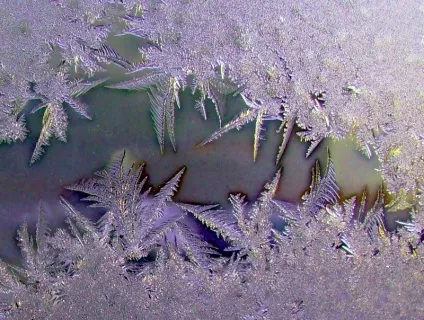 Що малює мороз на вікнах