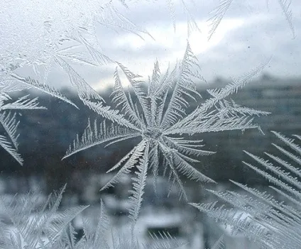 Що малює мороз на вікнах