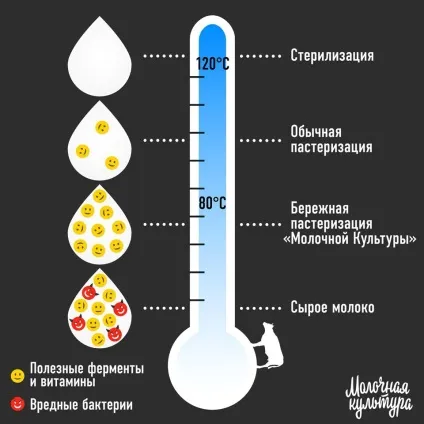 Що таке «дбайлива» пастеризація - молочна культура (культура) Що таке «дбайлива» пастеризація - молочна культура