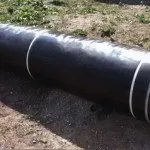 Що таке скельний лист