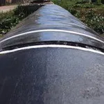 Що таке скельний лист