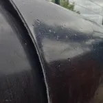 Що таке скельний лист