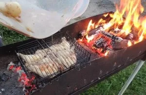 Курча тютюну, приготований на вогнищі