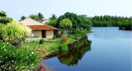 Club palm bay 4 (шрі-ланка, Маравіла) опис готелю, послуги, відгуки (готелю) Club palm bay 4 (шрі-ланка, Маравіла) опис готелю, послуги, відгуки