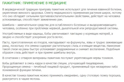 Що за трава - шамбала яка у неї користь і шкода (фітотерапія) Що за трава - шамбала яка у неї користь і шкода